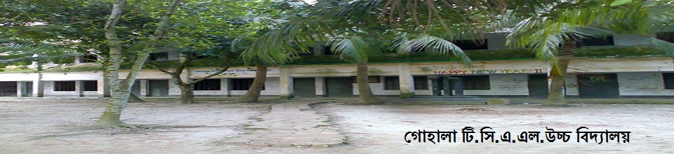 গোহালা টি. সি. এ. এল. উচ্চ বিদ্যালয়