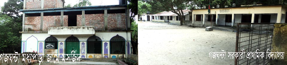 গজঘন্টা সরকারী প্রাথমিক বিদ্যালয়/মধ্যপাড়া জামে মসজিদ