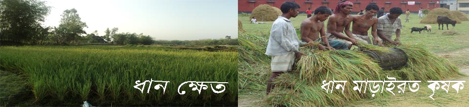 বাংলাদেশের প্রাণ কৃষি কাজ