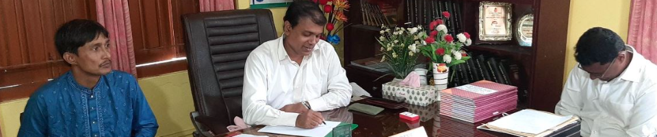 ডিডিএলজি