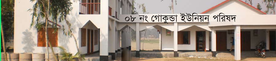 গোকুন্ডা ইউনিয়ন পরিষদ