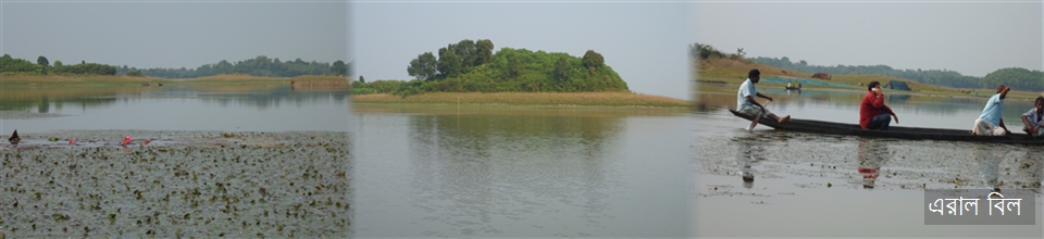 এরাল বিল