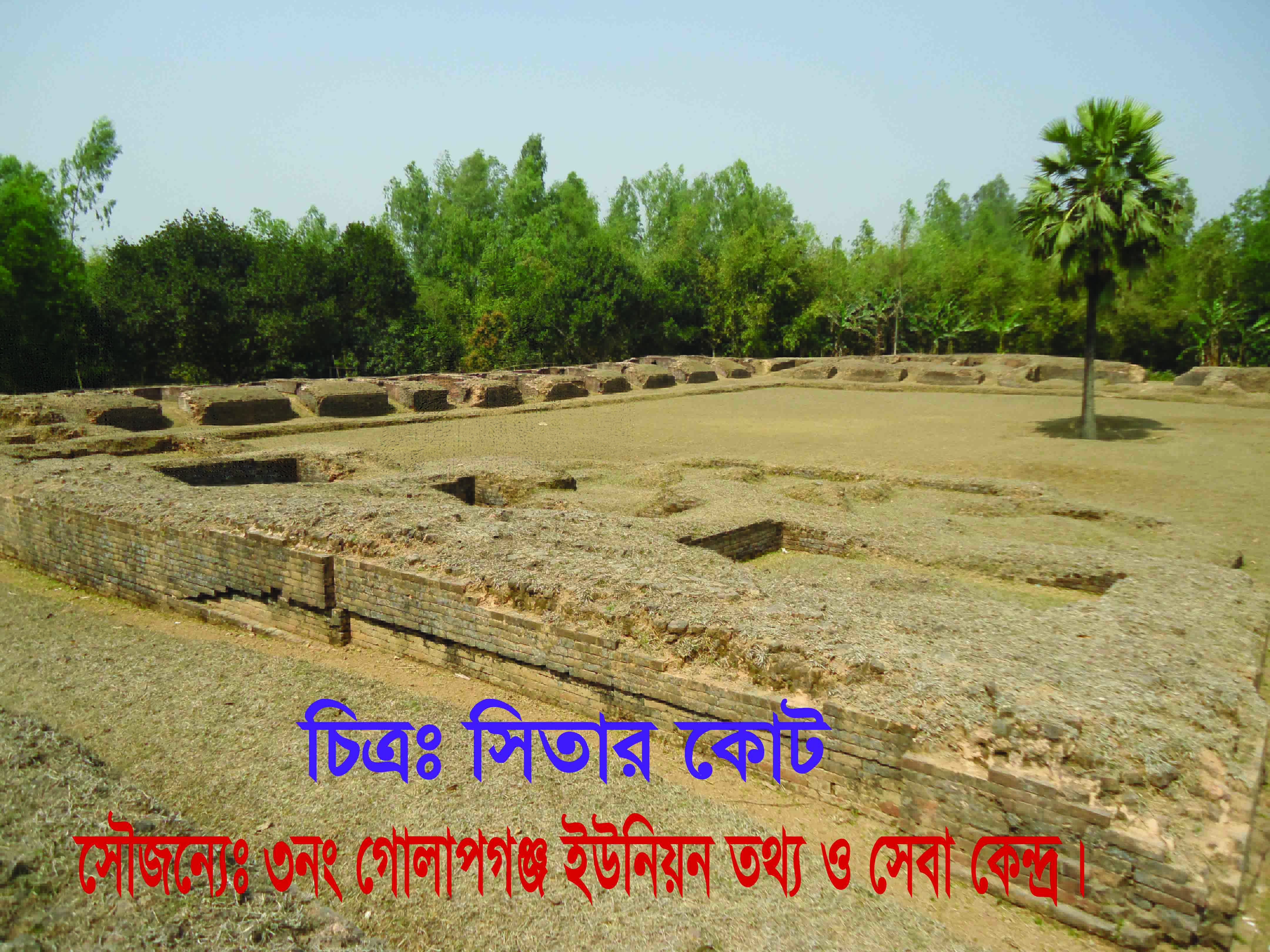 ফটোগ্যালারী 
