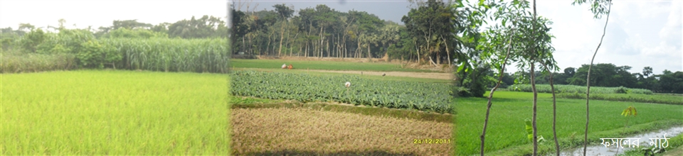 গল্লাই ইউনিযন পরিষদ