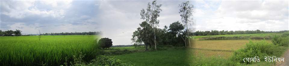 গোমতি ইউনিয়ন