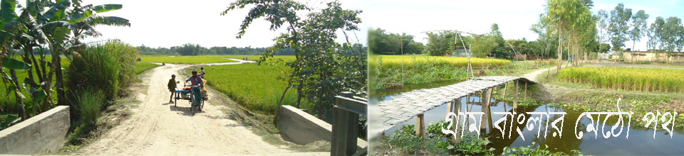 গ্রাম বাংলার মেঠো পথ