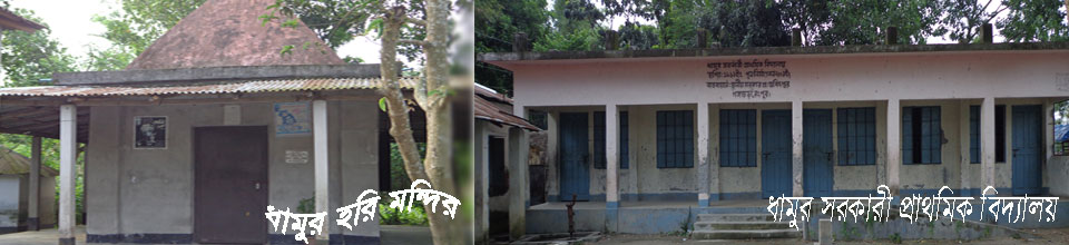 ধামুর হরি মন্দির ও ধামুর সরকারী প্রাথমিক বিদ্যালয়