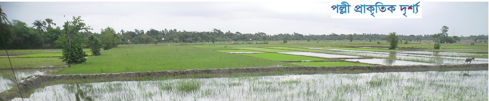 পল্লী দৃষ