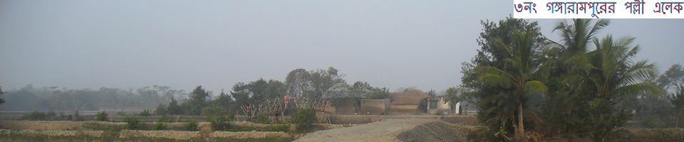 পল্লী এলেকা