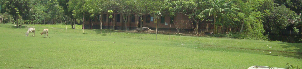 পুলুম ফুটবল মাঠ