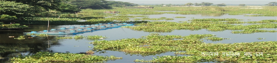 ভাষমান পদ্ধতিতে মতস্য চাষ