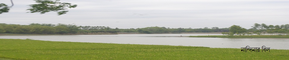নান্দিনার বিল