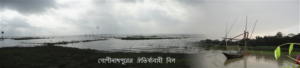 গোপীনাথপুরের ঐতিয্যবাহী বিল