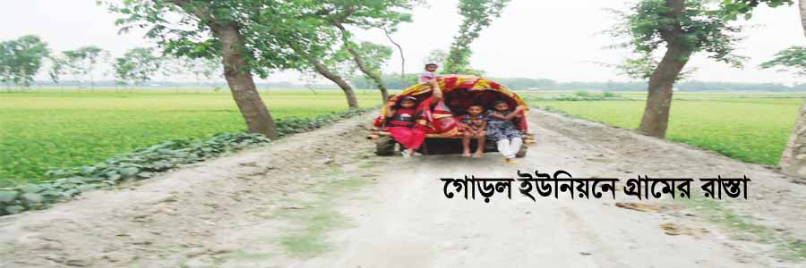 গোড়ল ইউনিয়নের গ্রামের রাস্তা