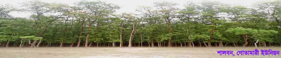 গোতামারী শালবন