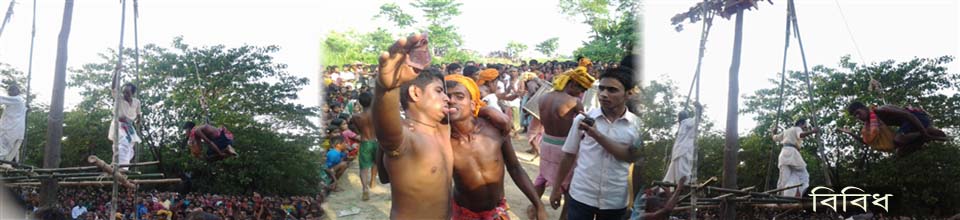 বিবিধ