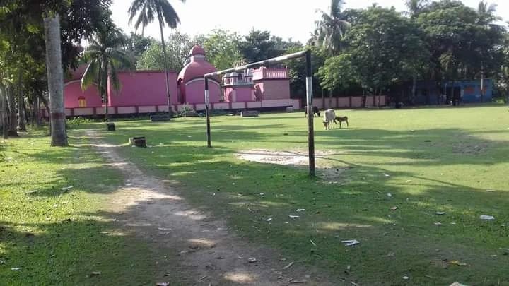 ৫