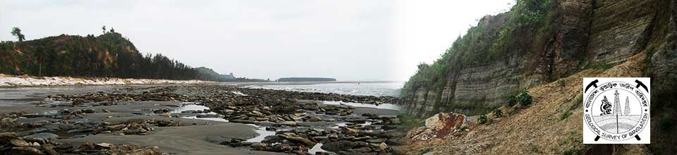 ব্যানার ২