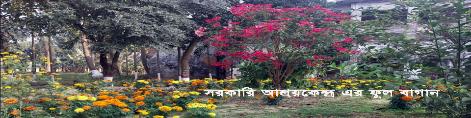 ফুল বাগান