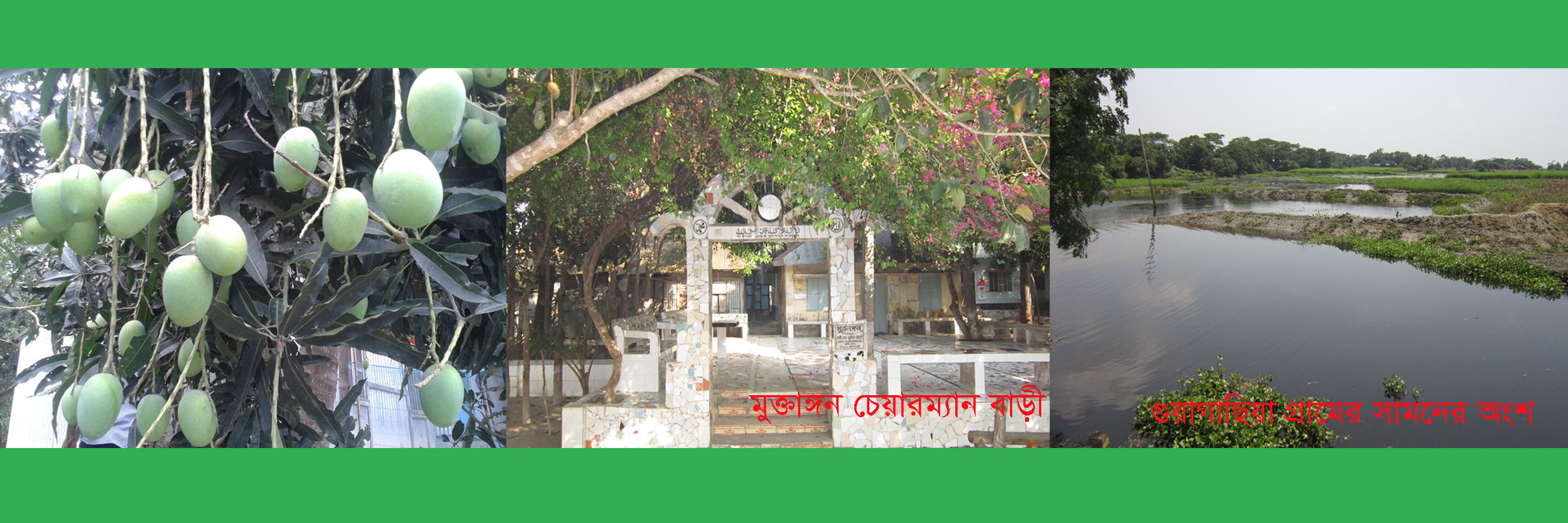 গুয়াগাছিয়া ইউনিয়ন পরিষদ
