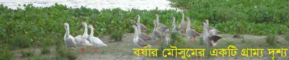 গুয়াগাছিয়া ইউনিয়ন
