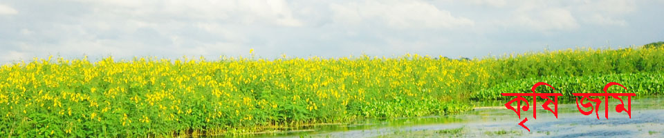 গুয়াগাছিয়া ইউনিয়ন
