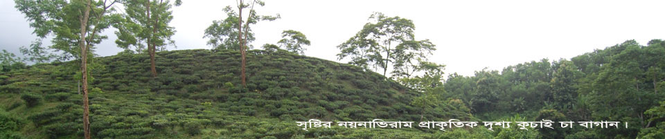 ০৮ নং গোয়ালবাড়ী ইউনিয়ন পরিষদে আপনাকে স্বাগতম