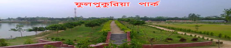 ফুলপুকুরিয়া পার্ক