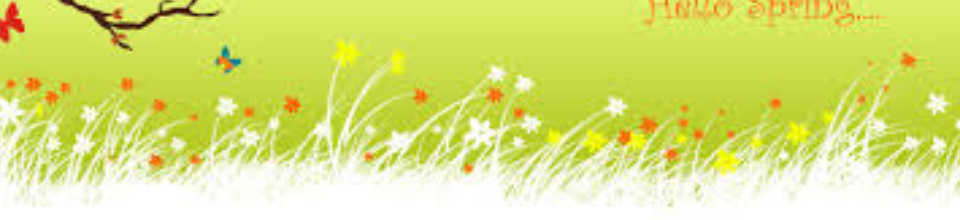 ব্যানার