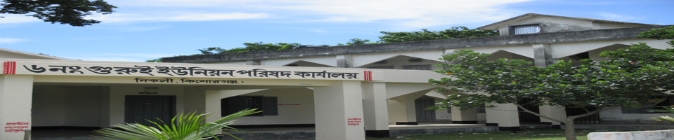 ৬নং গুরই ইউনিয়ন পরিষদ।