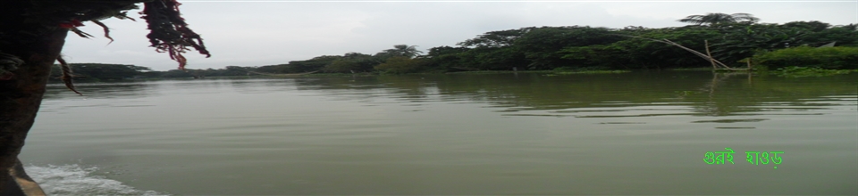 গুরই হাওড়