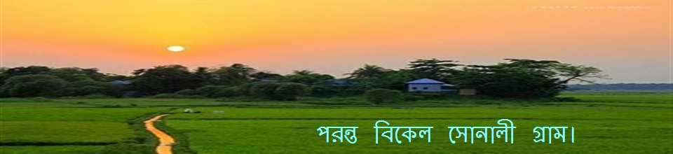 হাবলা ইউনিয়ন।