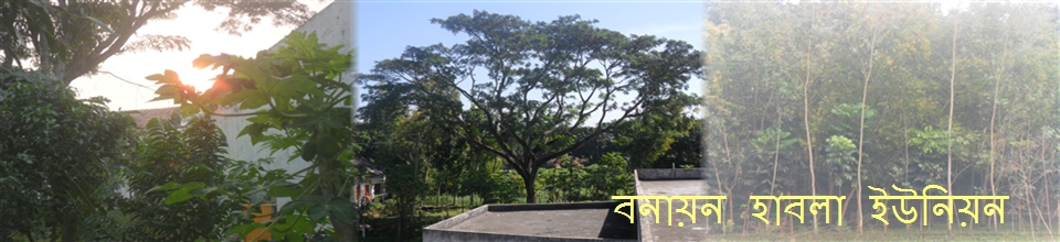 হাবলা ইউনিয়ন
