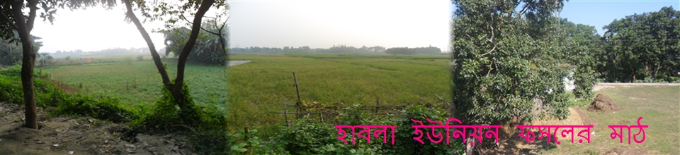 হাবলা ইউনিয়ন