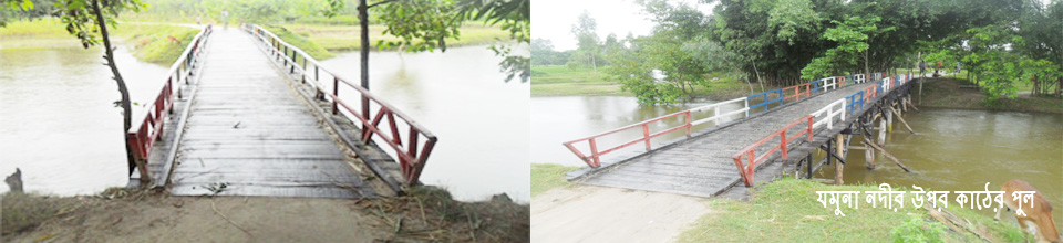 ইউনিয়ন পরিষদ ও ছোট যমুনা নদীর উপর কাঠের ব্রীজ