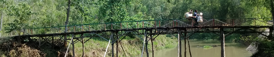 মাহালীপাড়া কাঠের ব্রিস