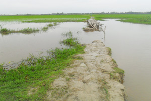 মরনাই বিল