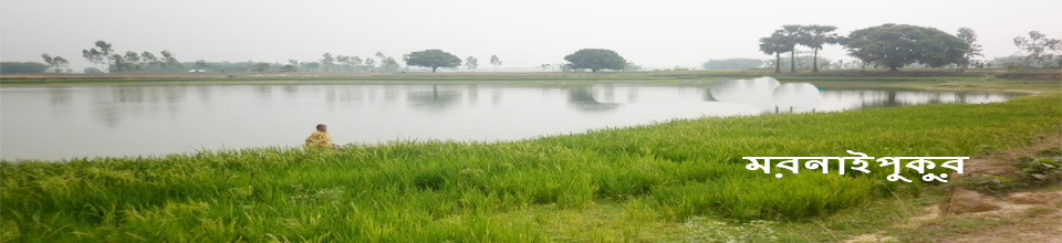 মরনাই পুকুর