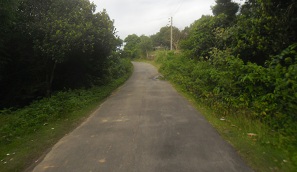 প্রকৌশল