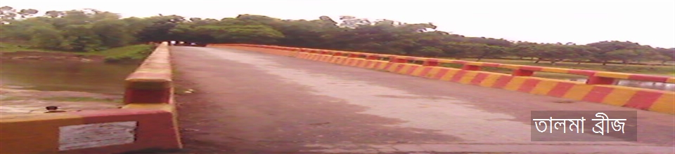 তালমা ব্রীজ