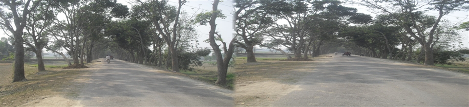 এলজিইডি রাস্তা