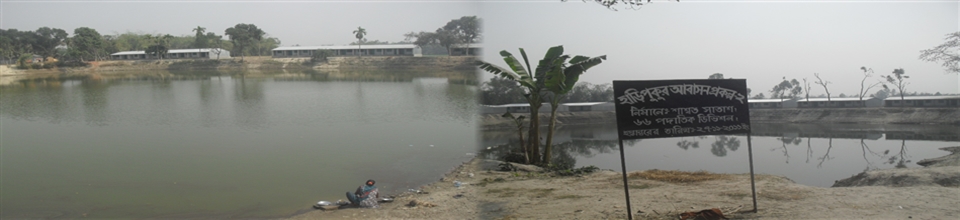 হাফিজাবাদ