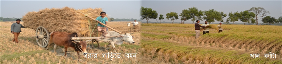 গ্রামীণ দৃশ্য