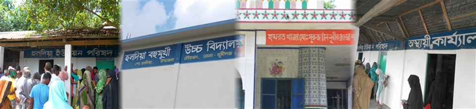 হলদিয়া ইউনিয়ন পরিষদ