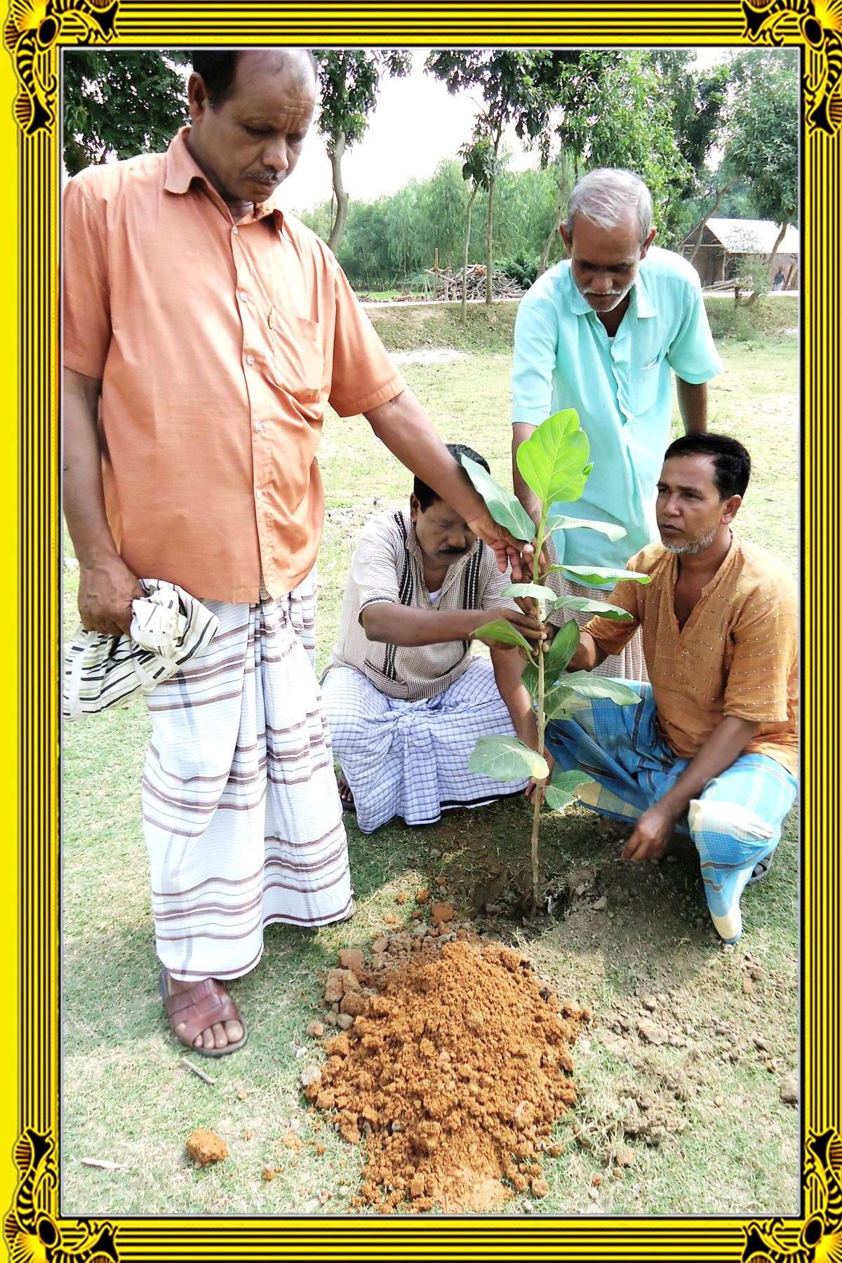 বৃক্ষরোপন