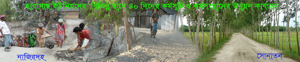 ২নং হারাগাছ ইউনিয়নে ৪০ দিনের কর্মসূচী ও কর্মসংস্থানের উন্নয়ন কার্যক্রম সমূহ