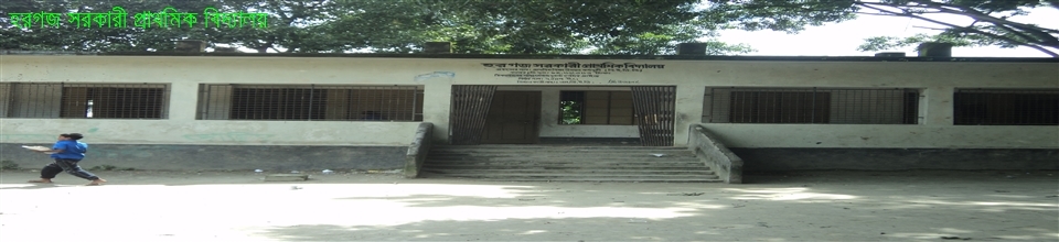 হরগজ সরকারী প্রাথমিক বিদ্যালয়