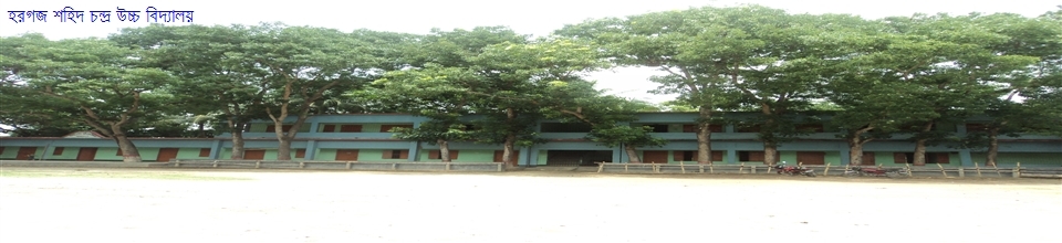 হরগজ শহীদ স্মৃতি উচ্চ বিদ্যালয়