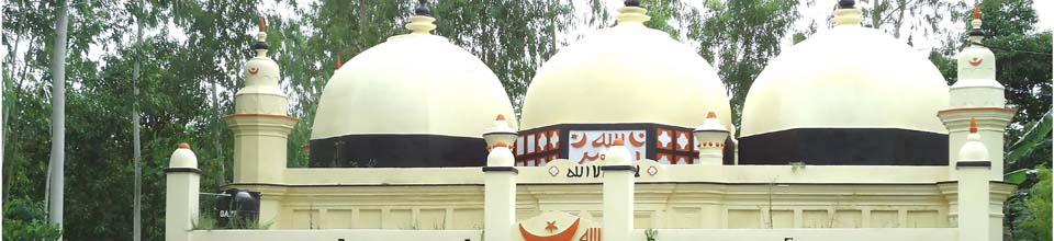 হরিনাবাড়ী মিয়া বাড়ী জামে মসজিদ