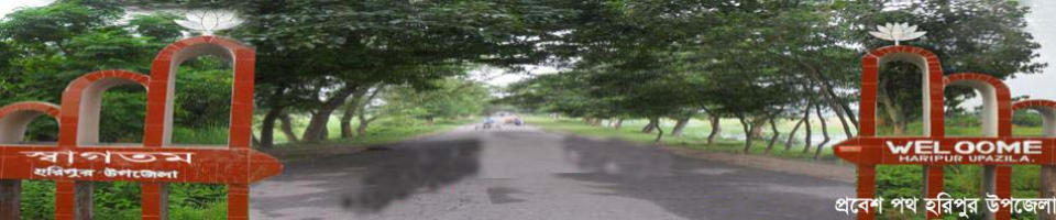 ব্যানার